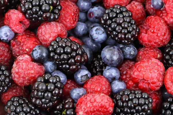 Imagen blog de Go eat berries!