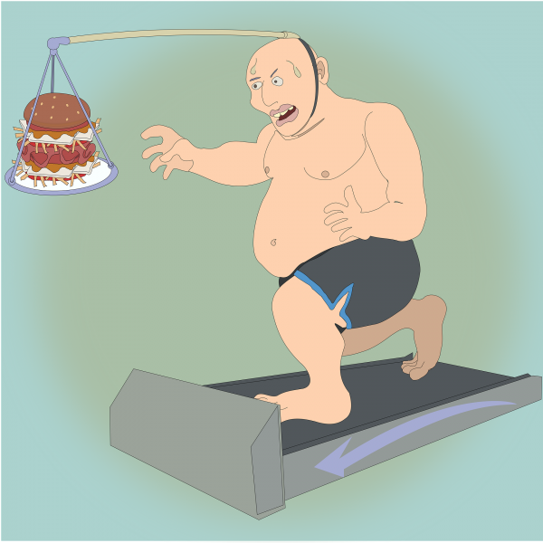 Imagen blog de  Dietary Factors, Epigenetics and their Implications for Human Obesity